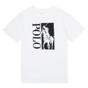Lyhythihainen t-paita Polo Ralph Lauren  CROPI  10 / 12 Jahre