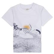 Lyhythihainen t-paita Timberland  ANTONIN  6 kuukautta