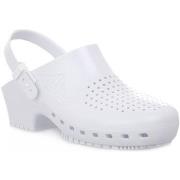 Sandaalit Calzuro  S BIANCO CINTURINO  36