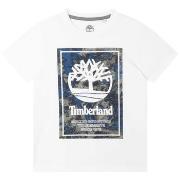 Lyhythihainen t-paita Timberland  T25T79-10P  6 vuotta