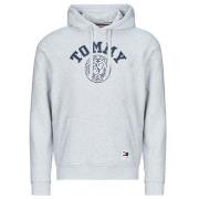 Svetari Tommy Jeans  TJM REG WASHED PREP EXPLR HOODIE  EU S