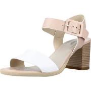 Sandaalit NeroGiardini  E218654D  39