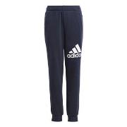 Jogging housut / Ulkoiluvaattee adidas  Essentials Regular Fit Big Log...