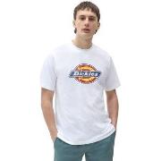 T-paidat & Poolot Dickies  Icon Logo T-Shirt - White  EU S