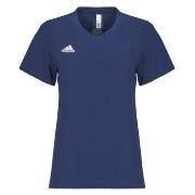 Lyhythihainen t-paita adidas  Entrada 22 T-Shirt  EU XXL