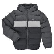 Toppatakki adidas  Synthetic Down Jacket  11 / 12 vuotta