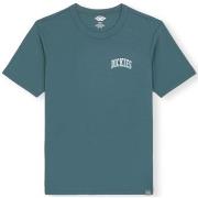 T-paidat & Poolot Dickies  Aitkin Chest Logo T-Shirt - Green  EU M