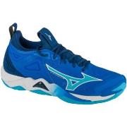 Fitness Mizuno  Wave Momentum 3  45