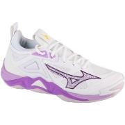 Fitness Mizuno  Wave Momentum 3  39