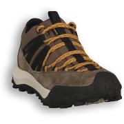 Kengät Scarpa  004 ROVE GTX GRAY  42