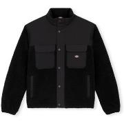 Paksu takki Dickies  Pinesdale Jacket - Black  EU S