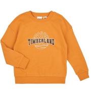 Svetari Timberland  SWEAT T60315  Yksi Koko