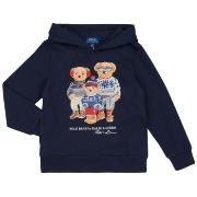 Svetari Polo Ralph Lauren  PO HOODY-KNIT SHIRTS-SWEATSHIRT  EU S