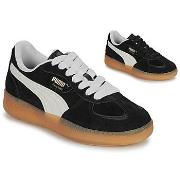 Kengät Puma  Palermo Moda Xtra Gum Wns  37