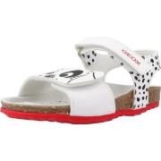 Poikien sandaalit Geox  B SANDAL CHALKI GIRL  20