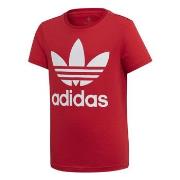 Lyhythihainen t-paita adidas  TREFOIL TEE  13 / 14 vuotta