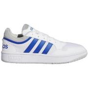 Tennarit adidas  Hoops  44