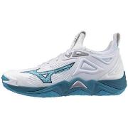 Kengät Mizuno  Wave Momentum 3  43