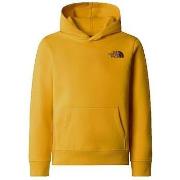 Neulepusero The North Face  Redbox Regular P/O  EU M