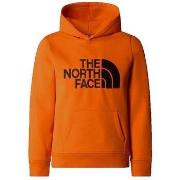 Neulepusero The North Face  Drew Peak P/O  EU S