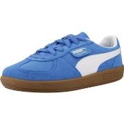 Tennarit Puma  PALERMO JR  36