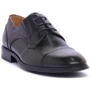 Kengät NeroGiardini  NERO GIARDINI 100 LOS ANGELES NERO  43