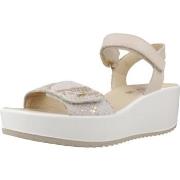 Sandaalit IgI&CO  7665633IG  36