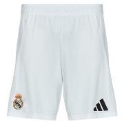Shortsit & Bermuda-shortsit adidas  IU5008  EU S