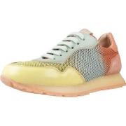 Tennarit Hispanitas  CHV253812  37