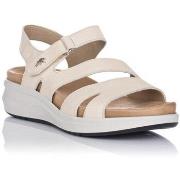 Sandaalit Fluchos  SANDAALIT  F1478  37