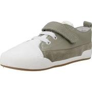 Tennarit Blanditos  GALEONBD  24