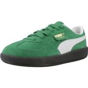 Tennarit Puma  PALERMO JR  36