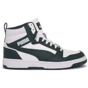 Tennarit Puma  33 REBOUND V6  40
