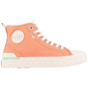 Tennarit Palladium  PALLA ACE CHUKKA ORG  36