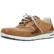 Kengät Fluchos  F1442  40