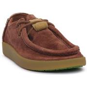 Tennarit Satorisan  SUNLACHINA KWAHU FOX  36