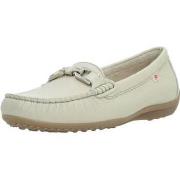 Kengät Fluchos  F0804  37