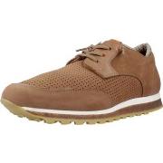 Tennarit Cetti  C1275NOB  44