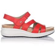 Sandaalit Fluchos  SANDAALIT  F1478  36