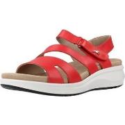 Sandaalit Fluchos  F1478  37