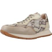 Tennarit Hispanitas  PHV253812  37