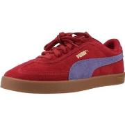 Tennarit Puma  CLUB II ERA SUE  36