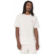 T-paidat & Poolot Dickies  Mapleton T-Shirt - Whitecap Grey  EU M