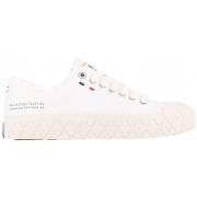 Kengät Palladium  Palla Ace CVS - Star White  36