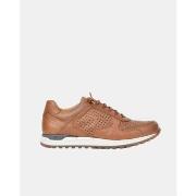 Kengät Kangaroos  846 13  42