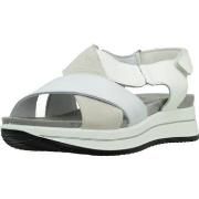 Sandaalit IgI&CO  7675533IG  36