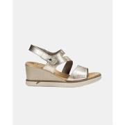 Sandaalit Fluchos  F1973  40