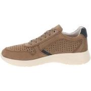 Tennarit Valleverde  VV360832  41