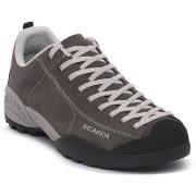 Kengät Scarpa  603 SHARK  42