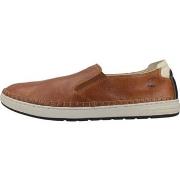 Kengät Fluchos  F1714  40